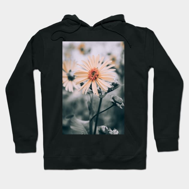 Cup Plant. Yellow Flower Photograph Hoodie by love-fi